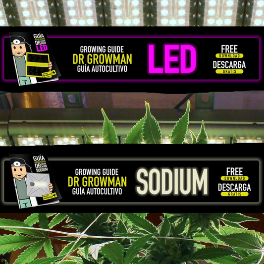 ¡Logra el Jardín Perfecto con Estos Trucos Infalibles! 🌻🌿✨