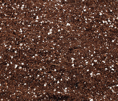 Bulto Raices Ligero Sustrato 30 Litros