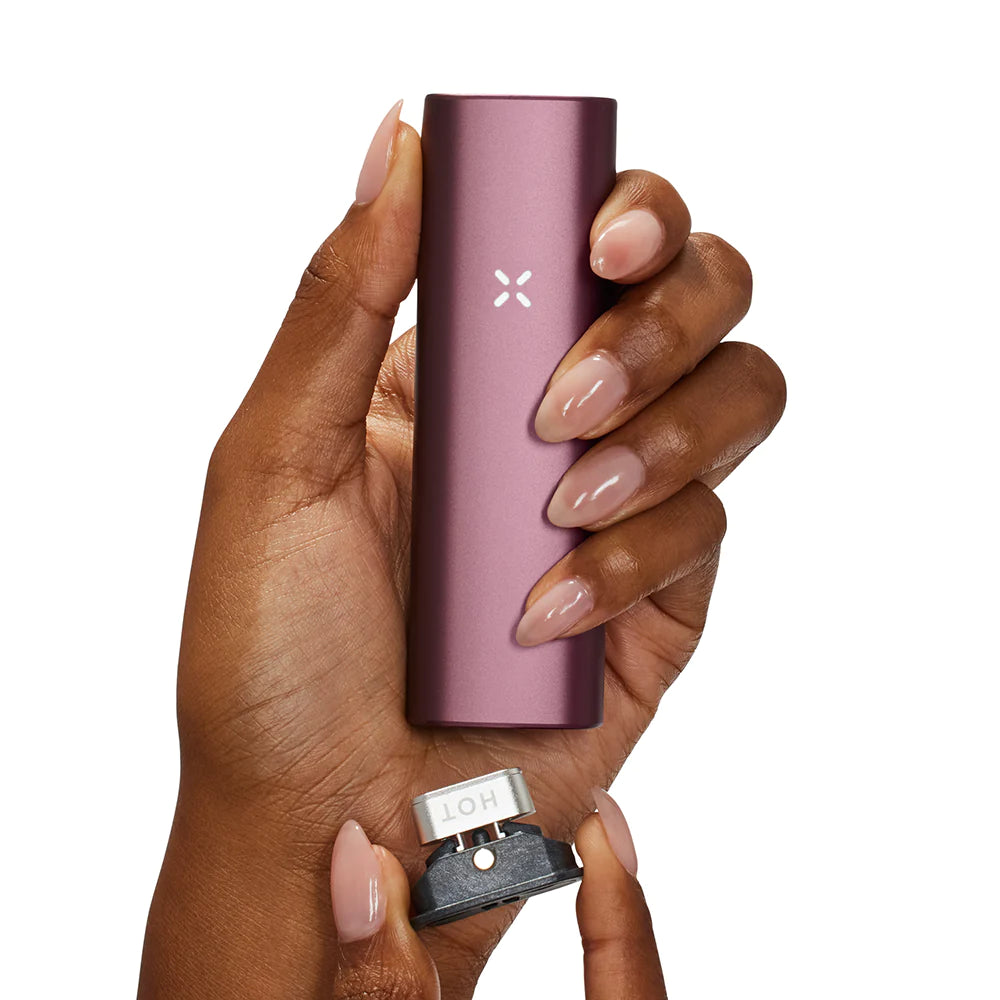 Vaporizador Pax Plus ELDERBERRY