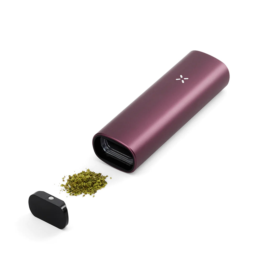 Vaporizador Pax Plus ELDERBERRY