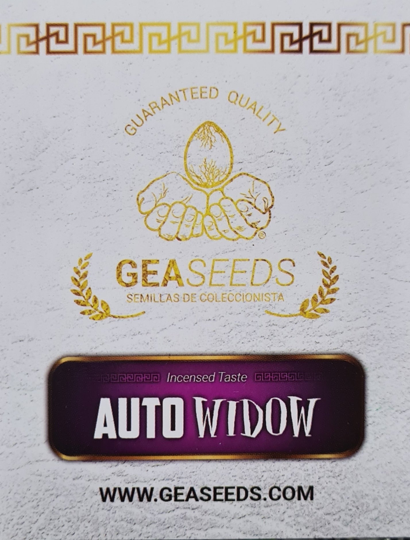 Semillas Auto Widow Autoflorecientes Gea Seeds | Índica | Kanamart