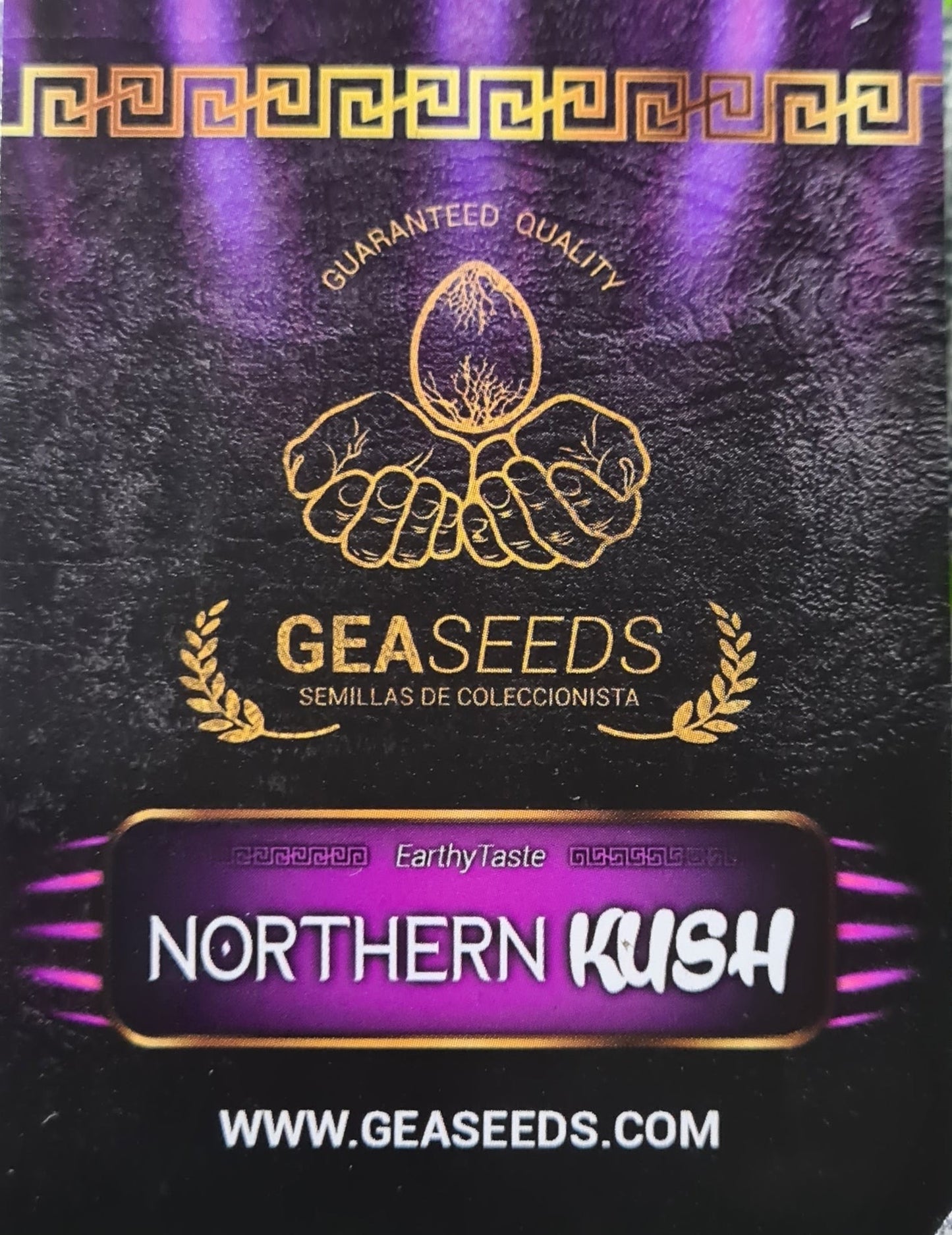 Semillas Northern Kush Feminizadas Gea Seeds | Índica | Kanamart