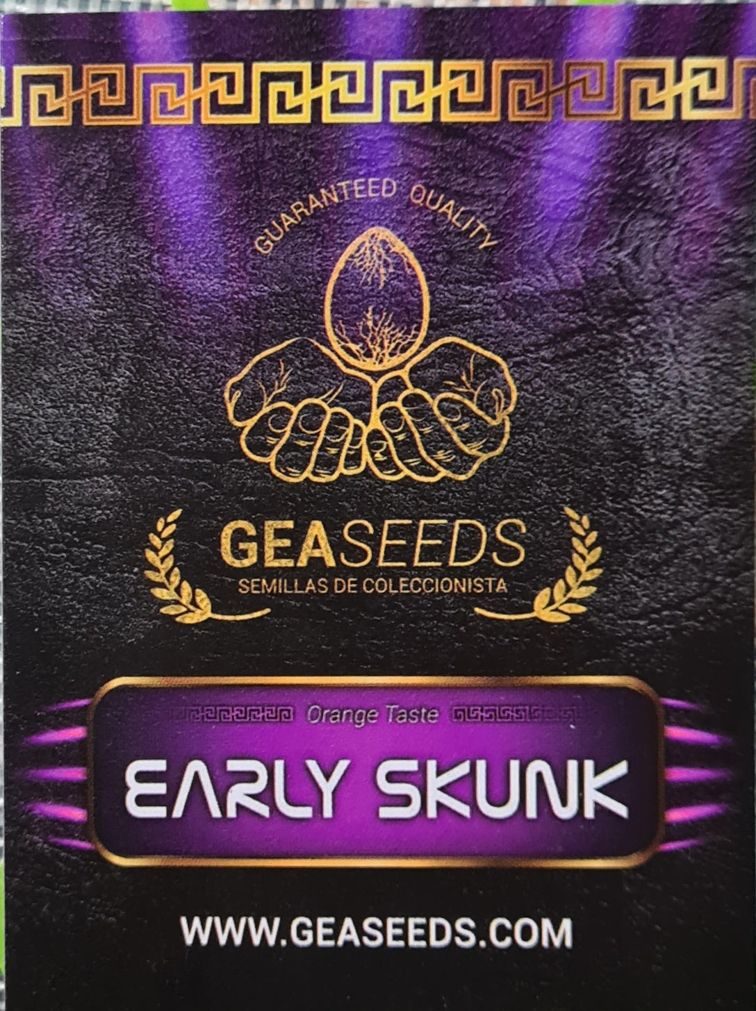 Early Skunk Gea Seeds Fem