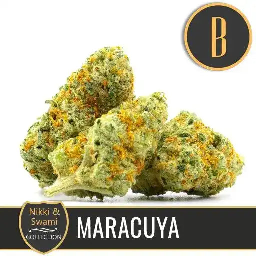 Semillas Blimburn Maracuya By Nikki/Swami Fem X3