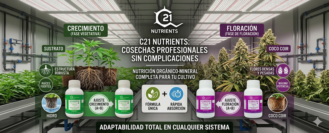 C21 Nutrients: Cosechas Profesionales Sin Complicaciones