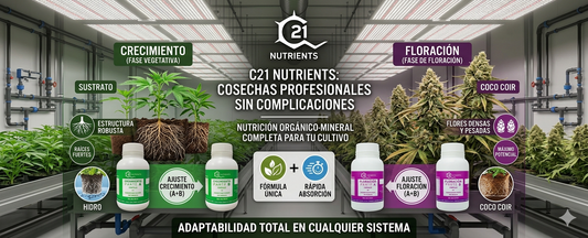 C21 Nutrients: Cosechas Profesionales Sin Complicaciones