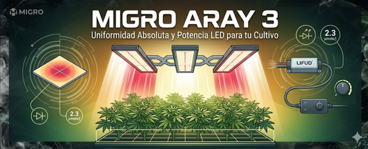 MIGRO ARAY 3: Uniformidad Absoluta y Potencia LED para tu Cultivo