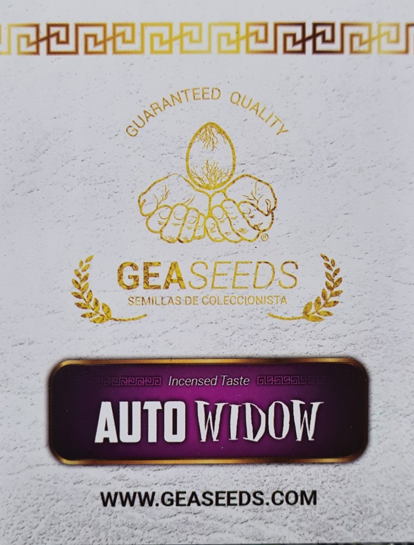 Auto Widow Gea Seeds