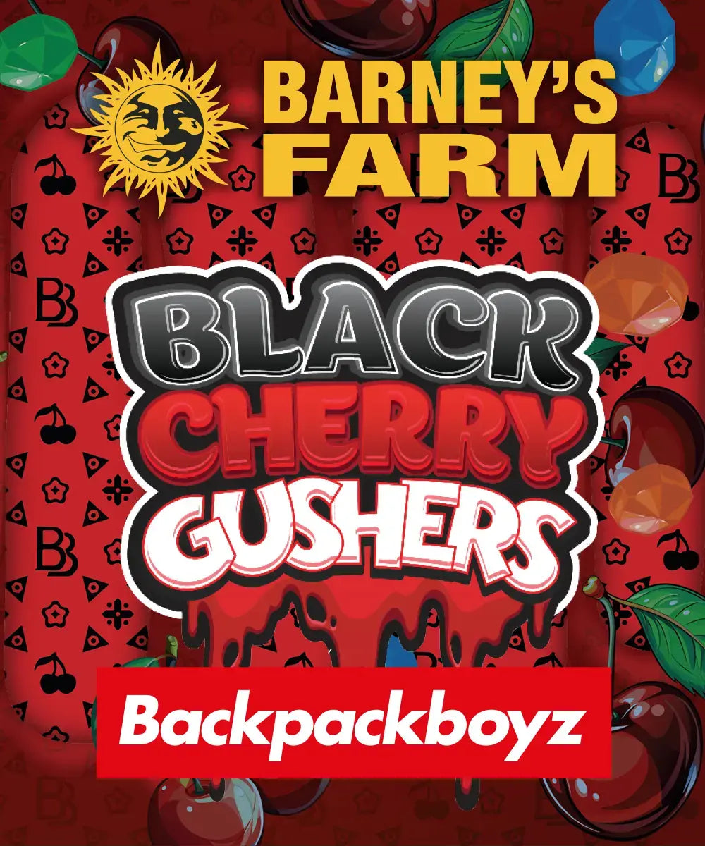 Black Cherry Gushers Barney’s Farm x Backpack Boyz Fem X3