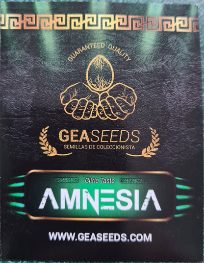 Amnesia Gea Seeds Fem