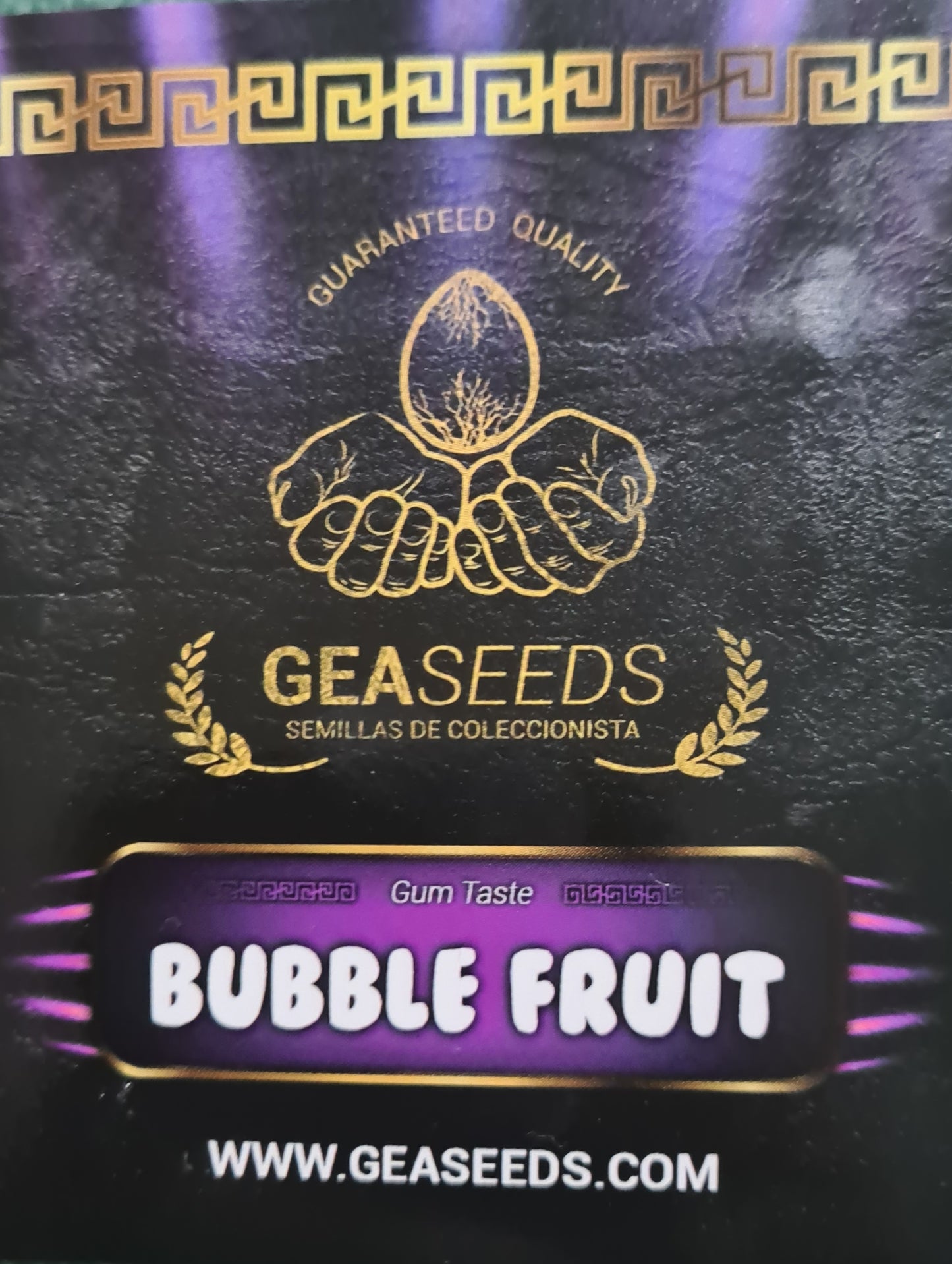 Bubble Fruit Gea Seeds Fem