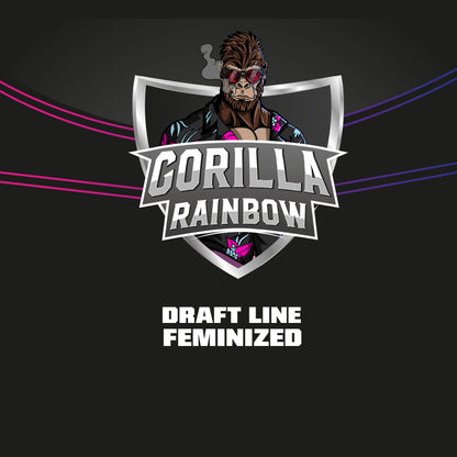 Gorilla Rainbow BSF Fem x4