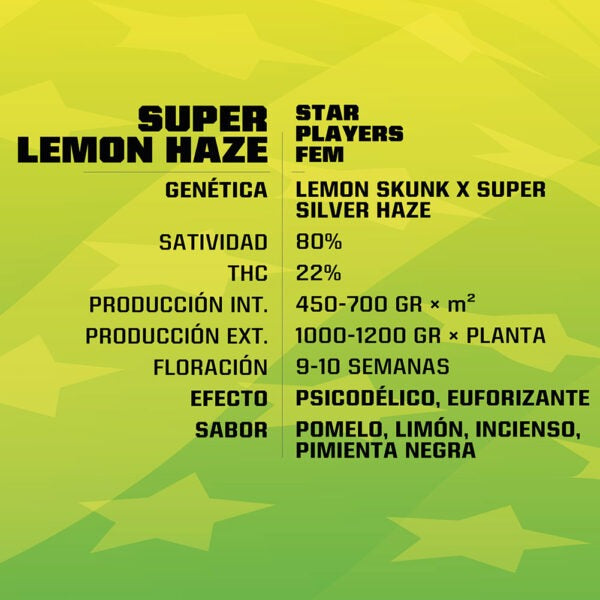 Super Lemon Haze BSF Fem X4