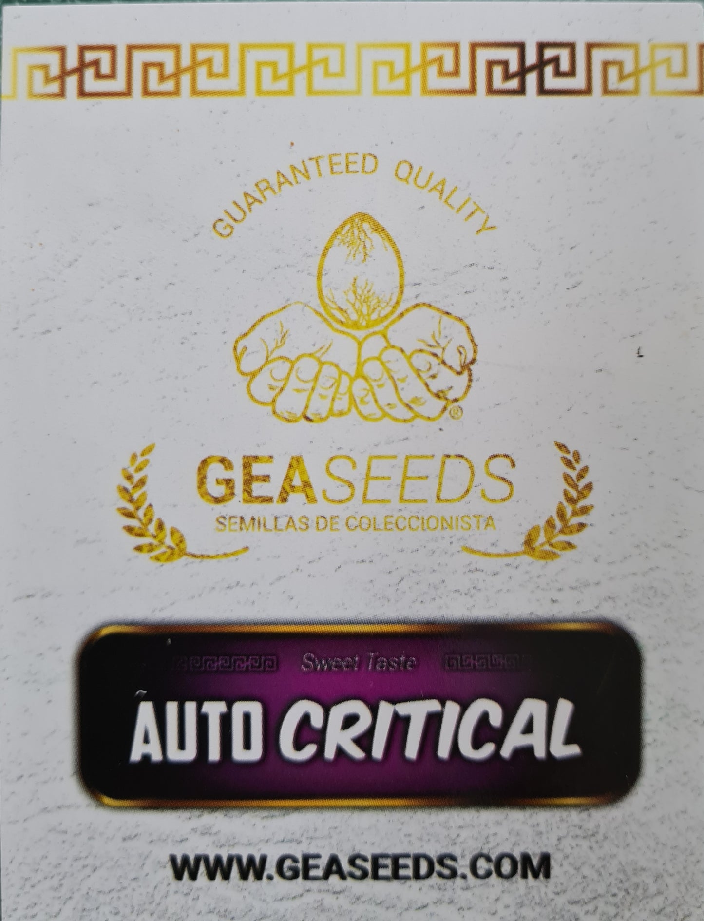 Semillas Auto Critical Autoflorecientes Gea Seeds | Índica | Kanamart