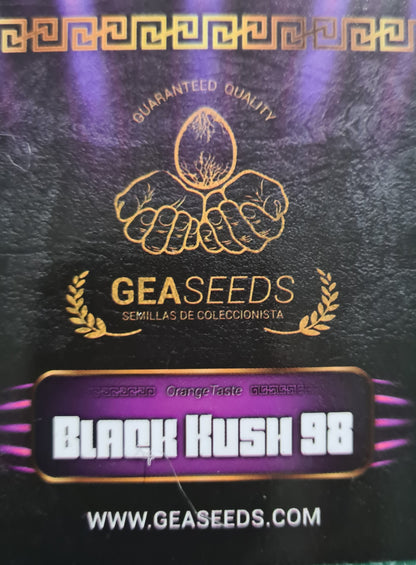 Semillas Black Kush 98 Feminizadas Gea Seeds | Índica | Kanamart