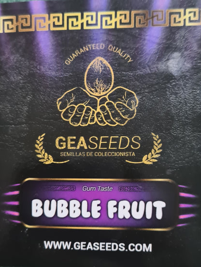 Semillas Bubble Fruit Feminizadas Gea Seeds | Índica | Kanamart