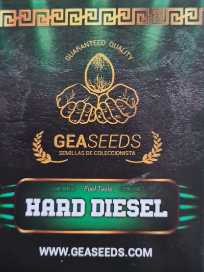 Semillas Hard Diesel Feminizadas Gea Seeds | Sativa | Kanamart