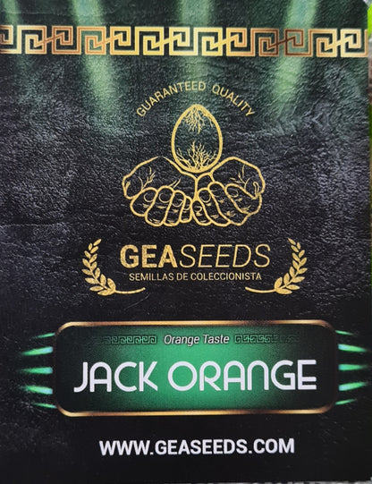 Semillas Jack Orange Feminizadas Gea Seeds | Sativa | Kanamart