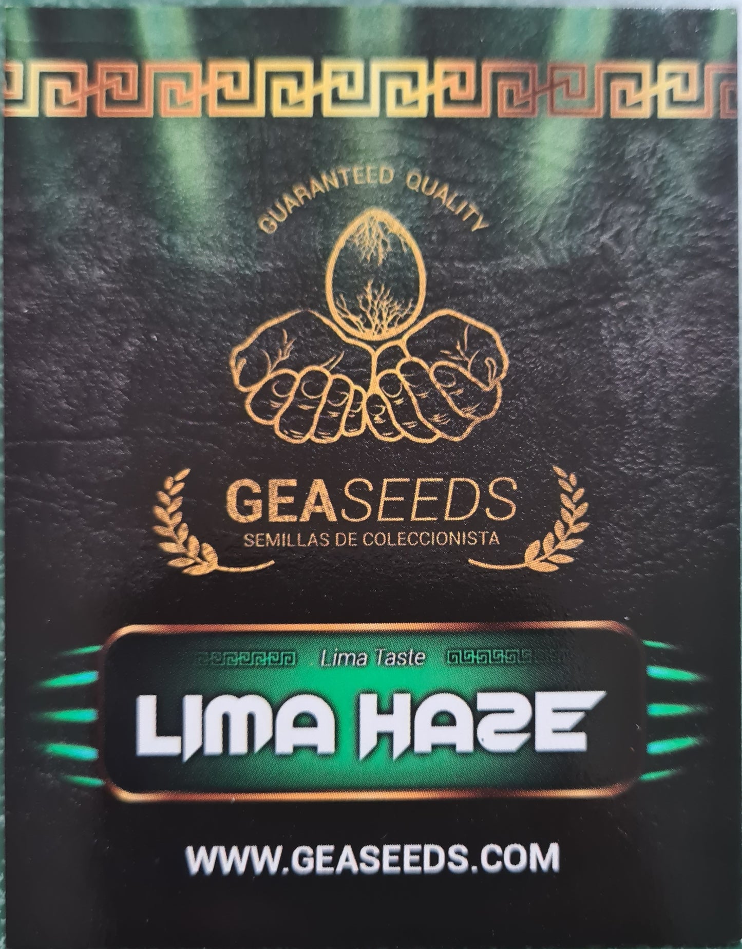 Semillas Lima Haze Feminizadas Gea Seeds | Sativa | Kanamart
